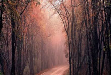 0-3！不敌欧洲冠军，国乒19岁小将一轮游，林高远成上半区独苗.