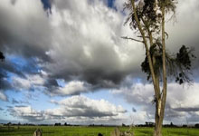 1对1｜男女篮同台比拼或可以实现？“女库里”约内斯库期待打破界限.